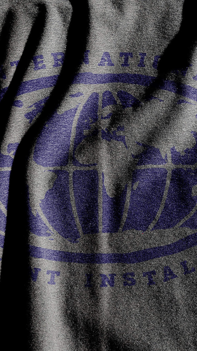 International Amusement Installations – Roller Coaster T-Shirt Design (Digital Download)